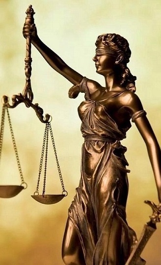 Высшее образование  Юриспруденция  Дистанционно Академический институт Коломна